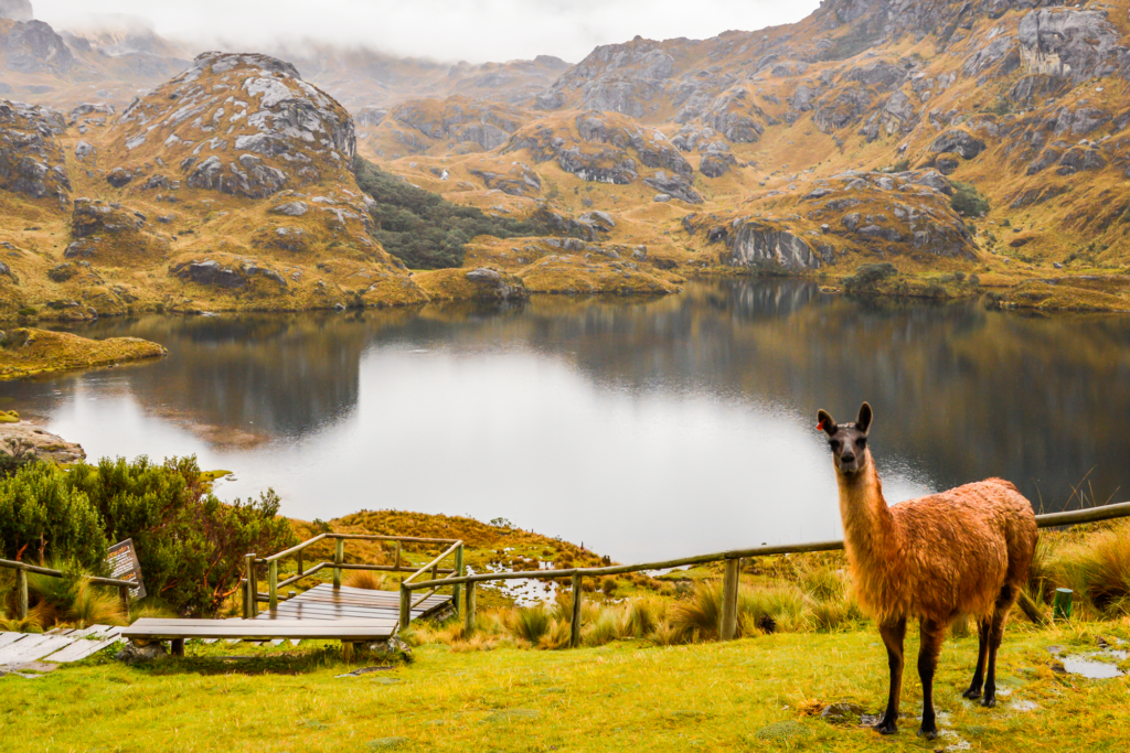 Parque Nacional de Las Cajas